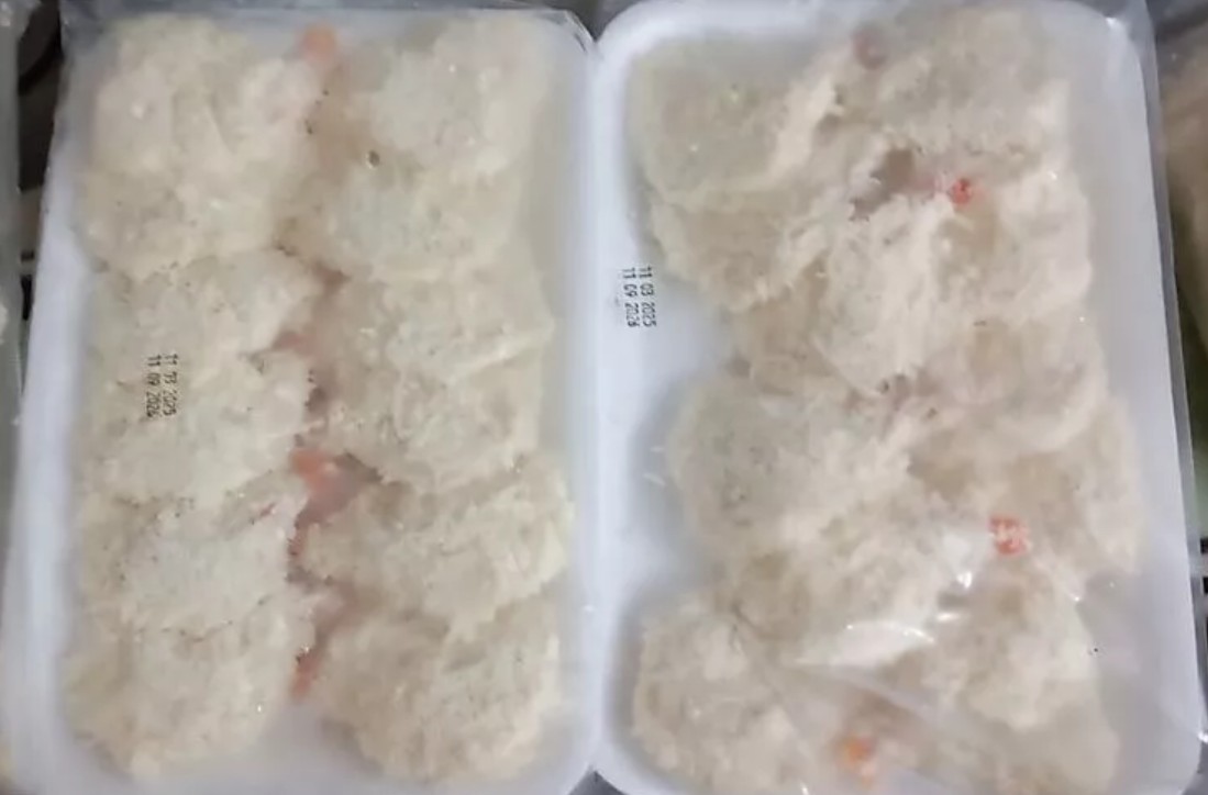chicken katsu reguler
