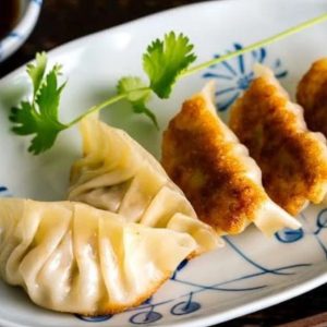 gyoza dimsum udang tebal grosir